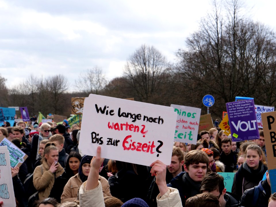 FridaysForFuture demonstration Berlin 15-03-2019 76