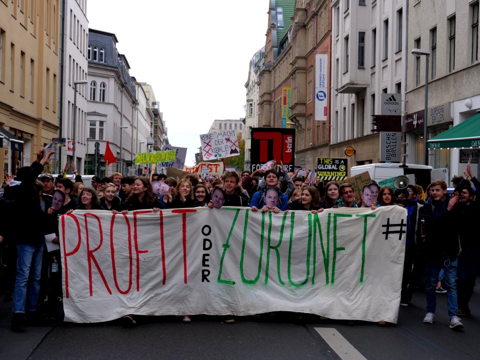 FridaysForFuture protest Berlin 08-11-2019 39