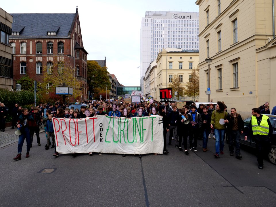 FridaysForFuture protest Berlin 08-11-2019 18