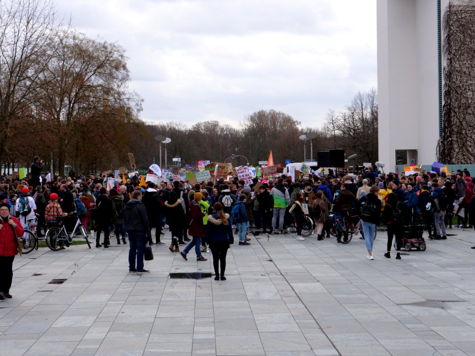 FridaysForFuture demonstration Berlin 15-03-2019 58