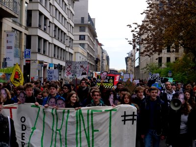 FridaysForFuture protest Berlin 08-11-2019 30
