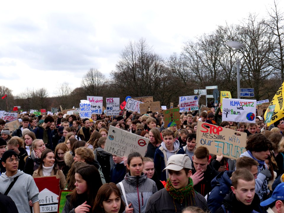 FridaysForFuture demonstration Berlin 15-03-2019 65