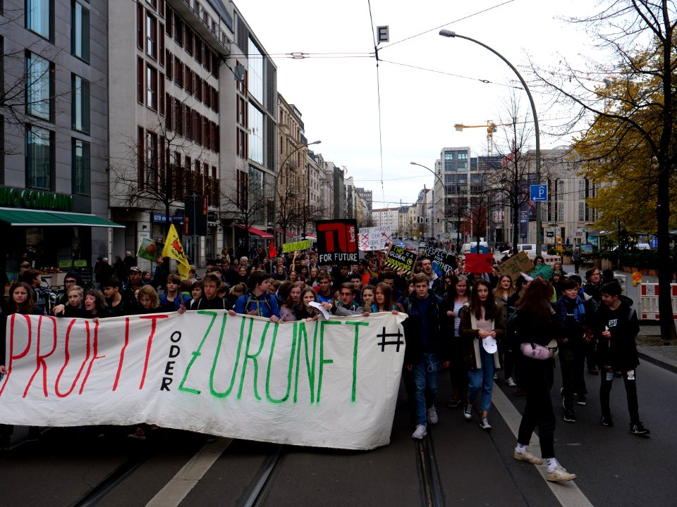 FridaysForFuture protest Berlin 08-11-2019 46
