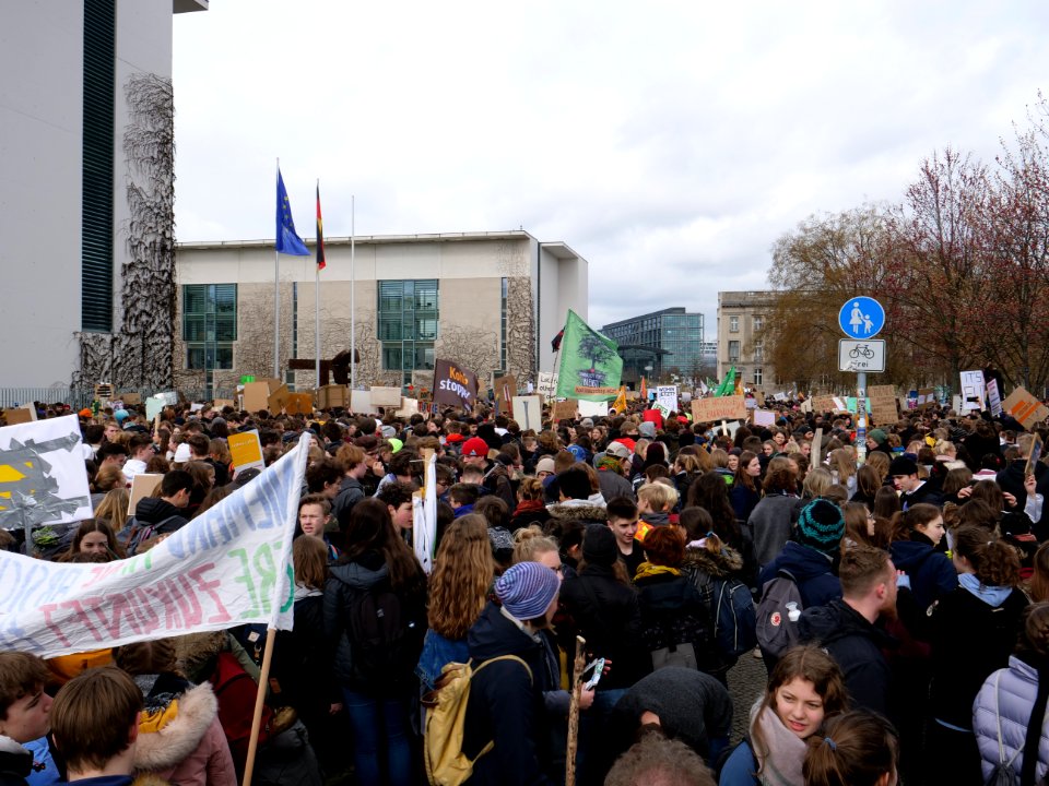FridaysForFuture demonstration Berlin 15-03-2019 74