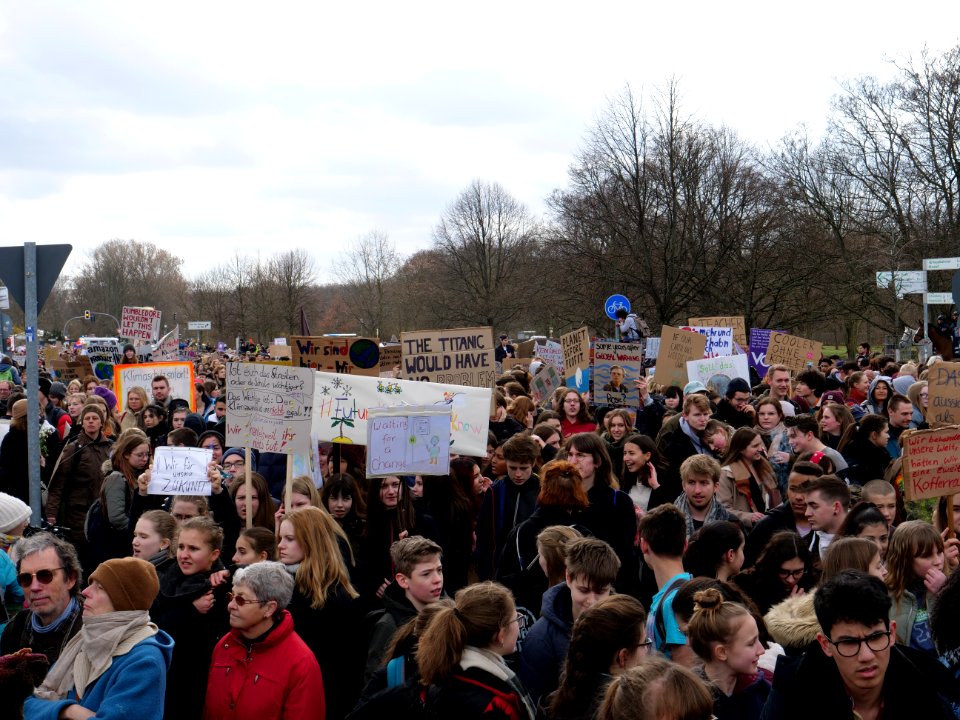 FridaysForFuture demonstration Berlin 15-03-2019 72