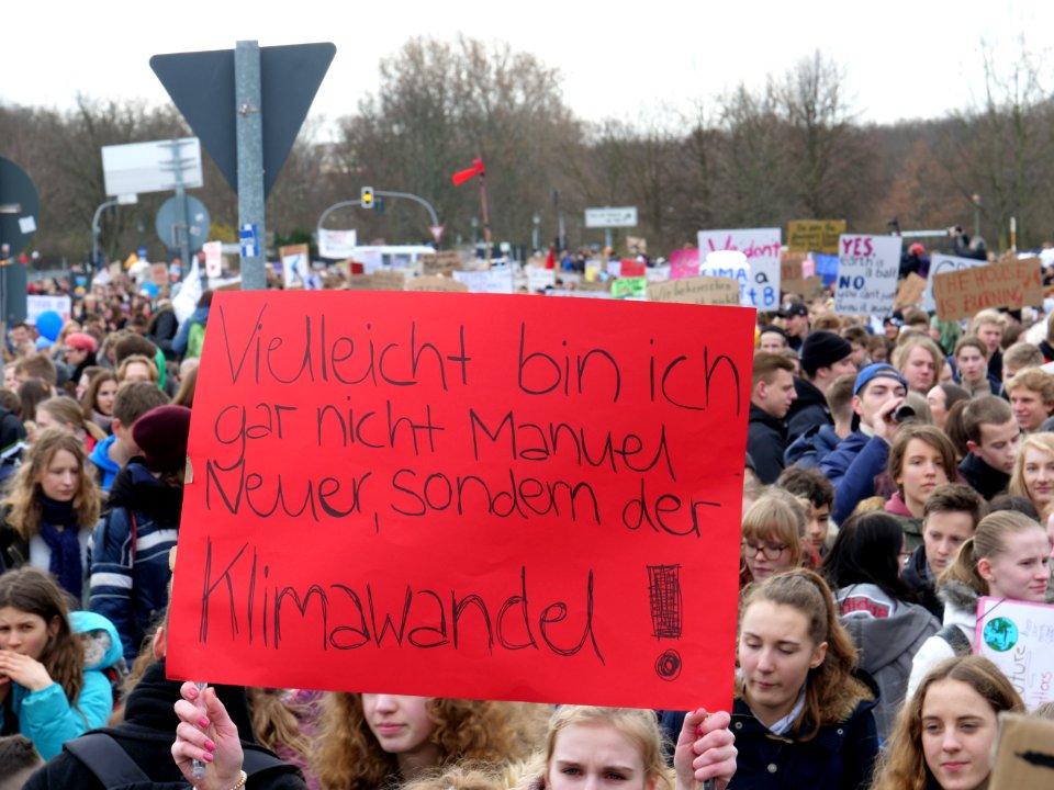 FridaysForFuture demonstration Berlin 15-03-2019 62