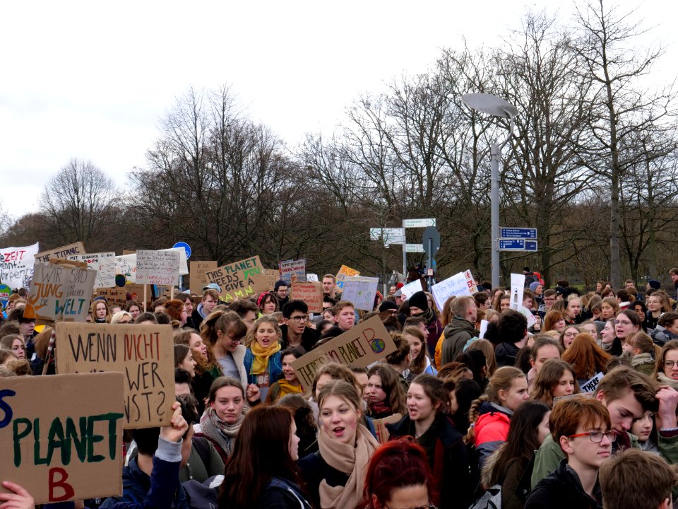 FridaysForFuture demonstration Berlin 15-03-2019 70