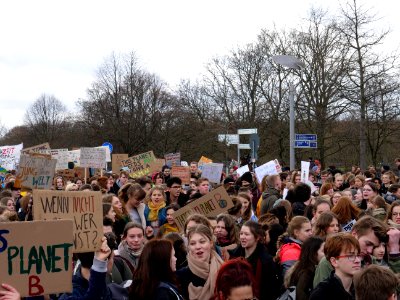FridaysForFuture demonstration Berlin 15-03-2019 70