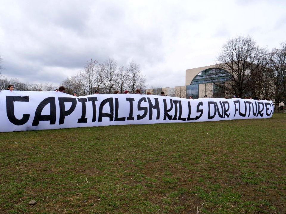 FridaysForFuture demonstration Berlin 15-03-2019 80