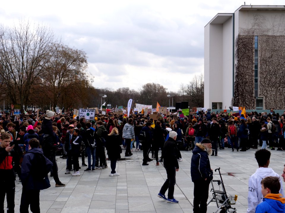 FridaysForFuture demonstration Berlin 15-03-2019 59