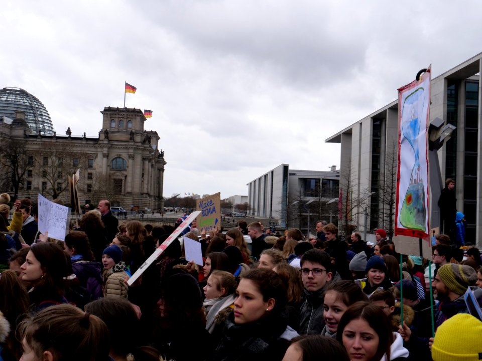 FridaysForFuture demonstration Berlin 15-03-2019 27
