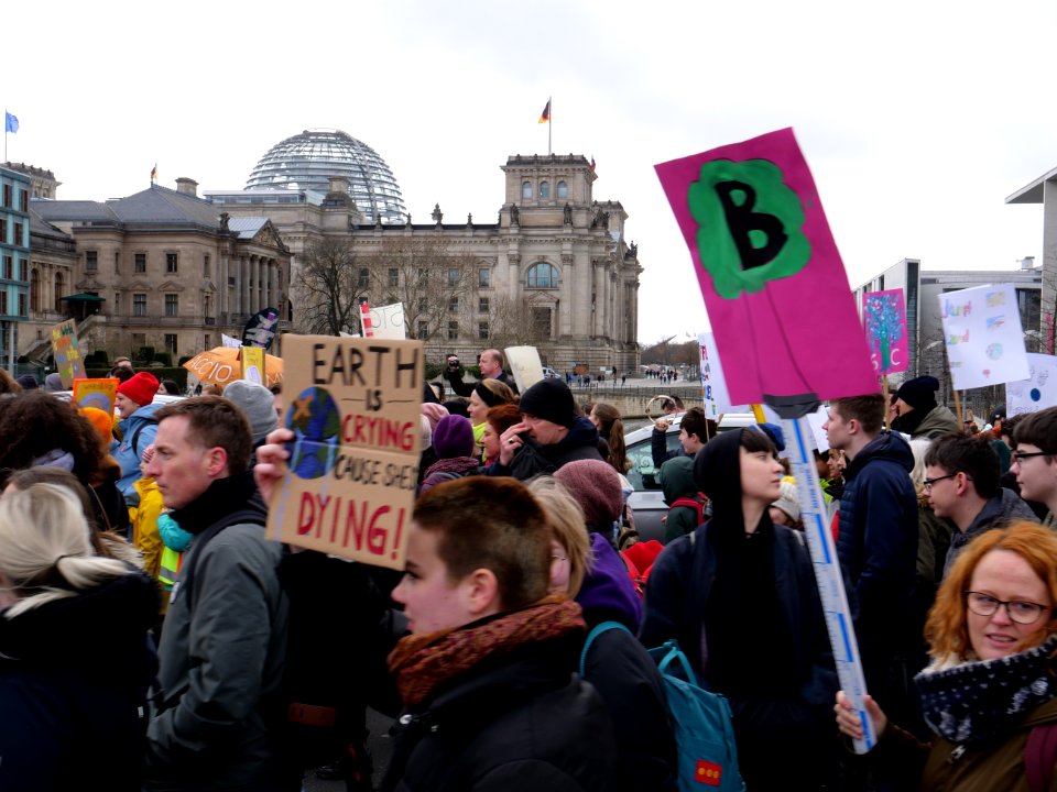 FridaysForFuture demonstration Berlin 15-03-2019 20