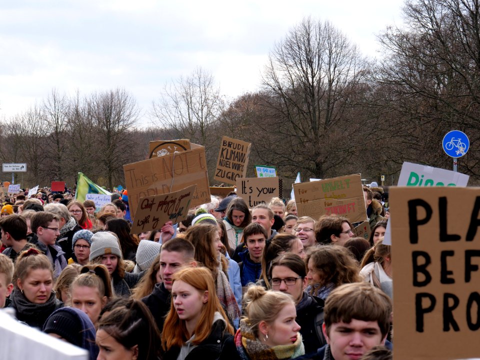 FridaysForFuture demonstration Berlin 15-03-2019 77