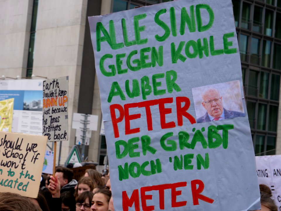 FridaysForFuture demonstration Berlin 15-03-2019 24