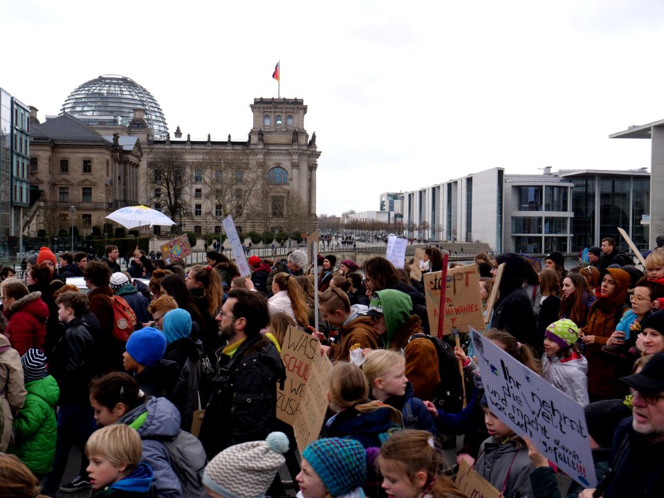 FridaysForFuture demonstration Berlin 15-03-2019 29