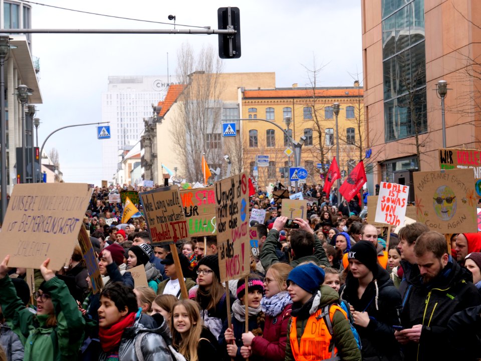 FridaysForFuture demonstration Berlin 15-03-2019 37