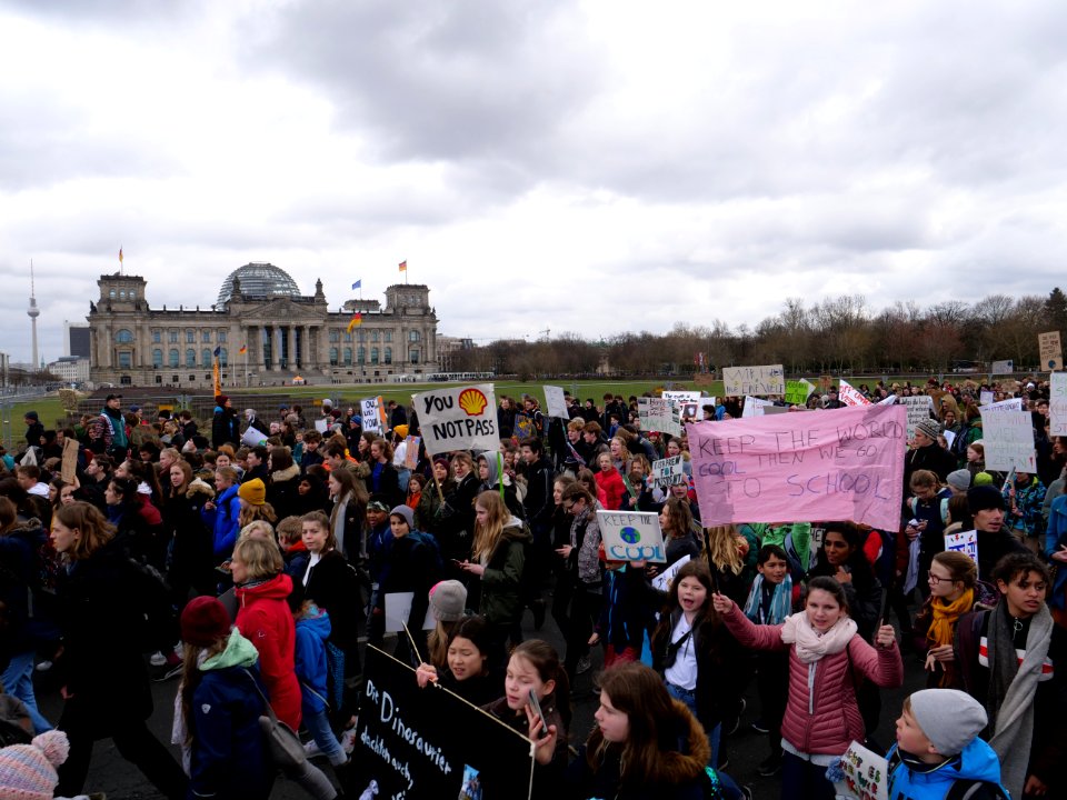FridaysForFuture demonstration Berlin 15-03-2019 52