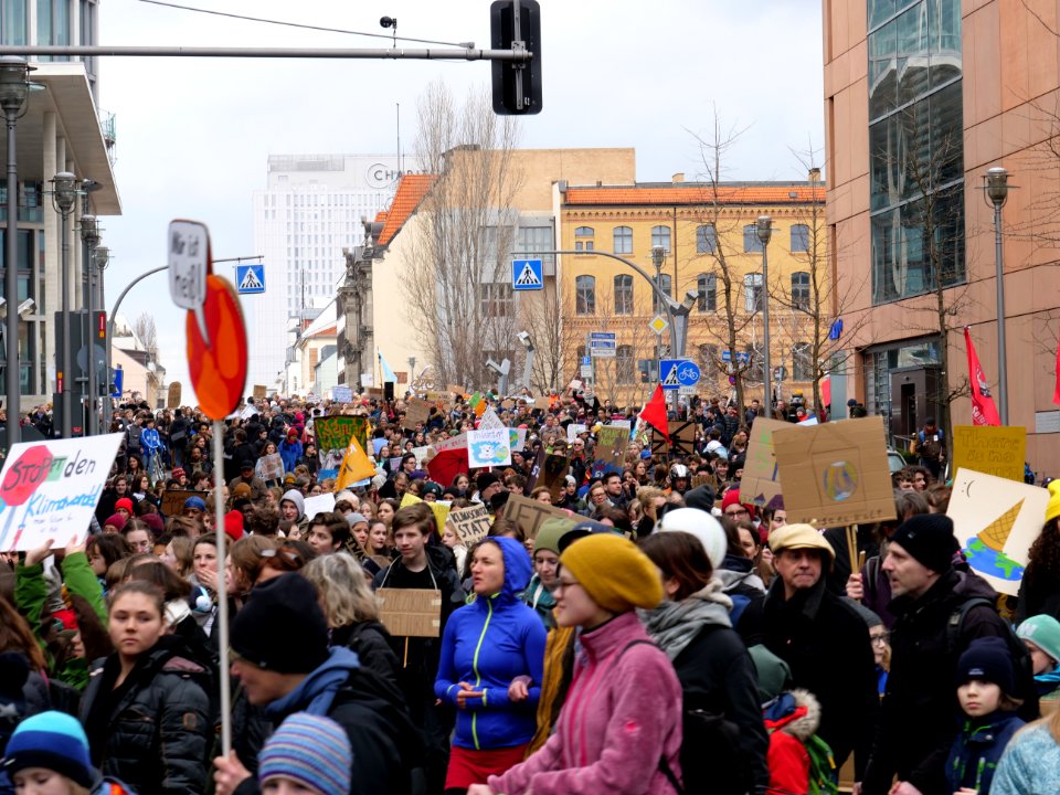 FridaysForFuture demonstration Berlin 15-03-2019 39