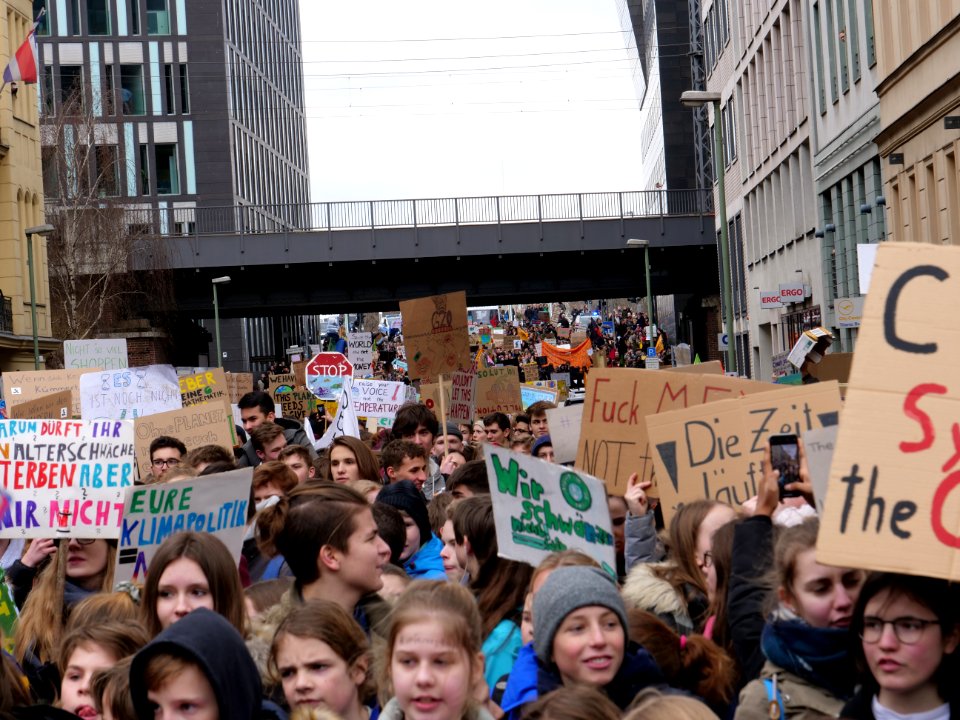 FridaysForFuture demonstration Berlin 15-03-2019 93