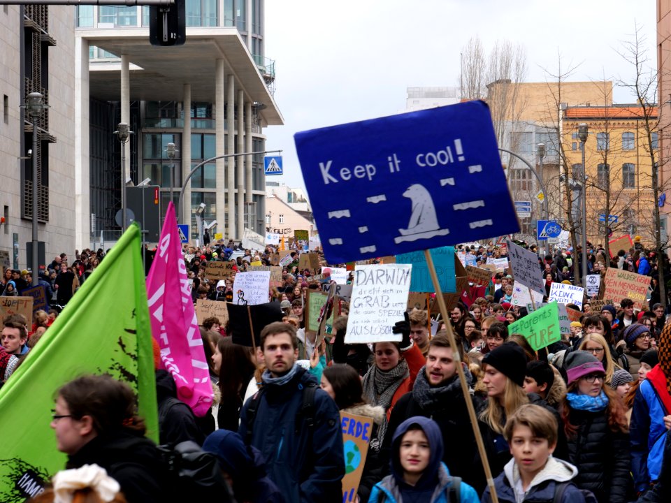 FridaysForFuture demonstration Berlin 15-03-2019 31