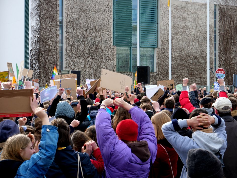 FridaysForFuture demonstration Berlin 15-03-2019 88