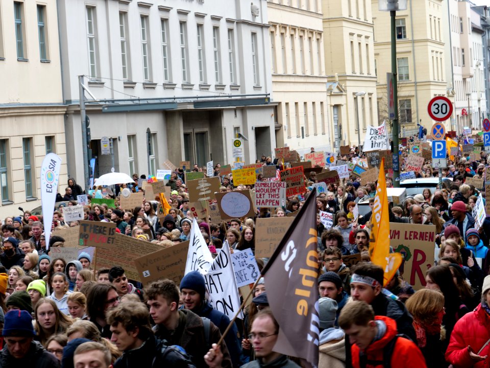 FridaysForFuture demonstration Berlin 15-03-2019 98