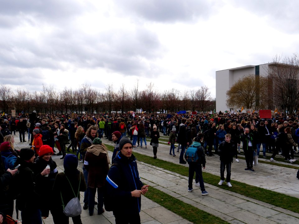 FridaysForFuture demonstration Berlin 15-03-2019 82