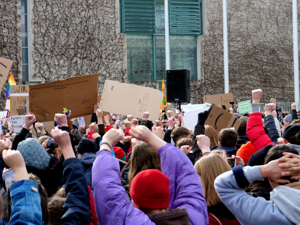 FridaysForFuture demonstration Berlin 15-03-2019 87