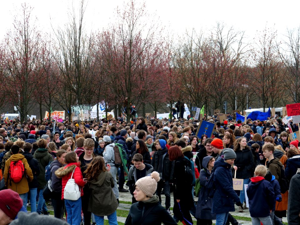FridaysForFuture demonstration Berlin 15-03-2019 83
