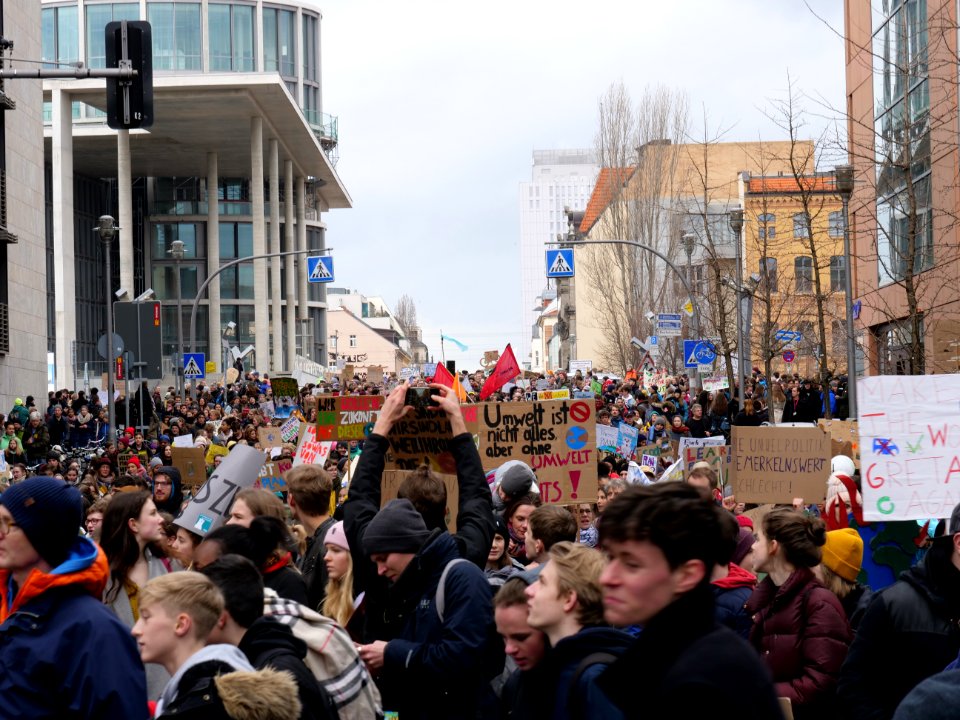FridaysForFuture demonstration Berlin 15-03-2019 35