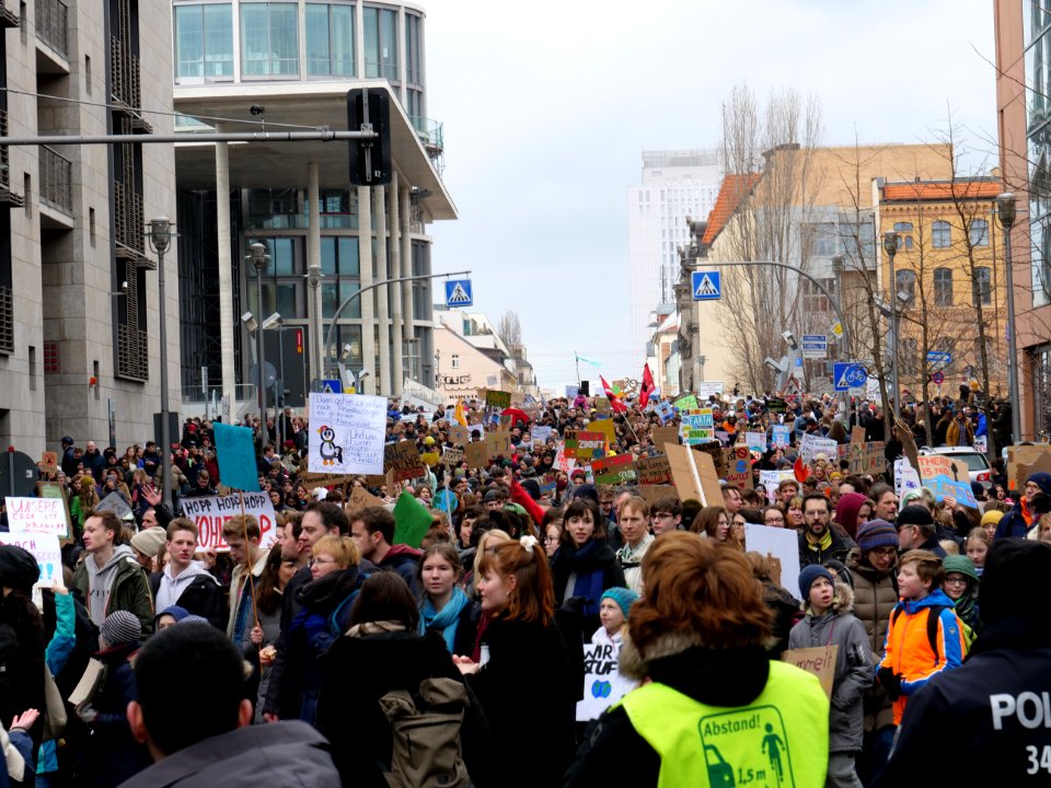 FridaysForFuture demonstration Berlin 15-03-2019 33