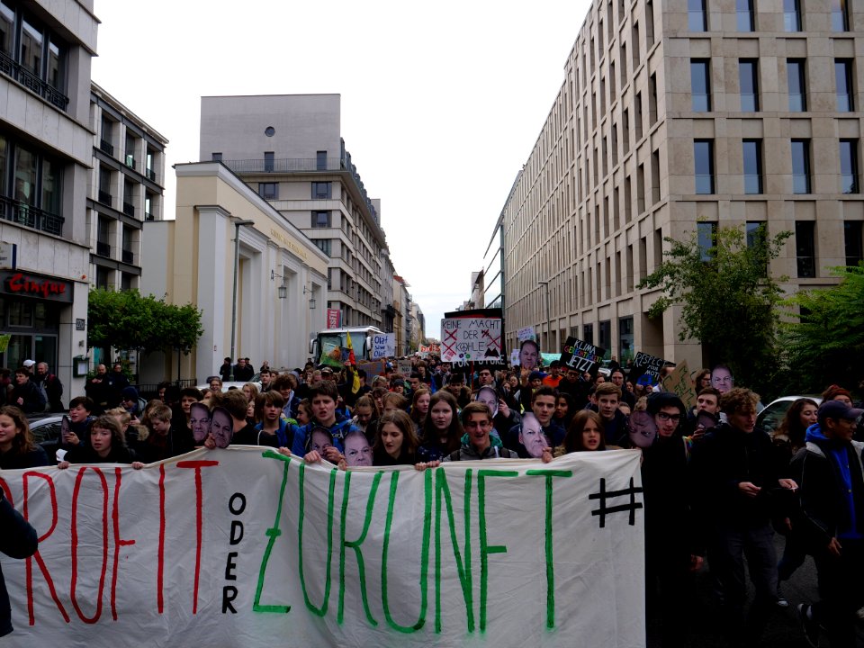 FridaysForFuture protest Berlin 08-11-2019 29