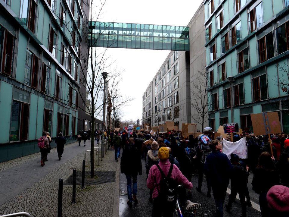 FridaysForFuture demonstration Berlin 15-03-2019 43
