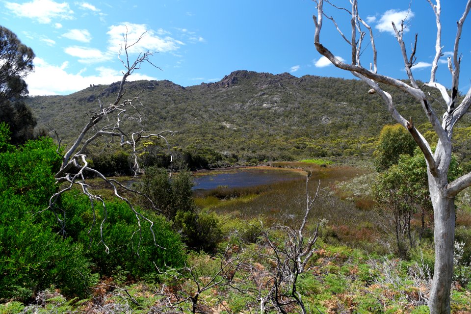 Freycinet National Park, Tasmania 15
