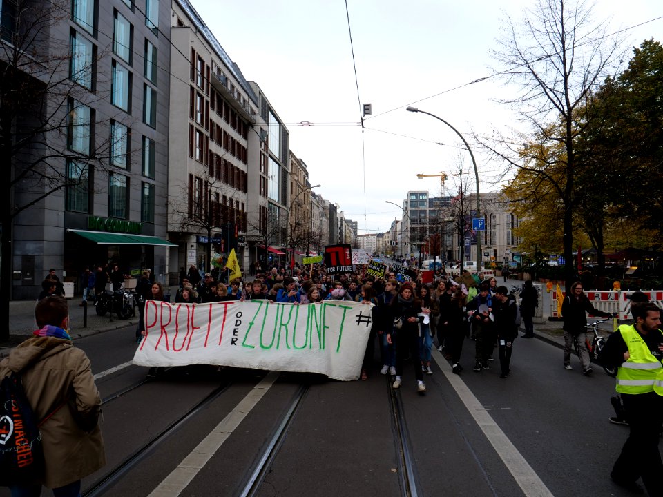 FridaysForFuture protest Berlin 08-11-2019 45