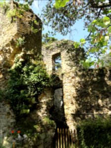 Fresnay-sur-Sarthe, château, ruine (02)