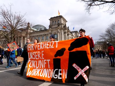 FridaysForFuture demonstration Berlin 15-03-2019 45