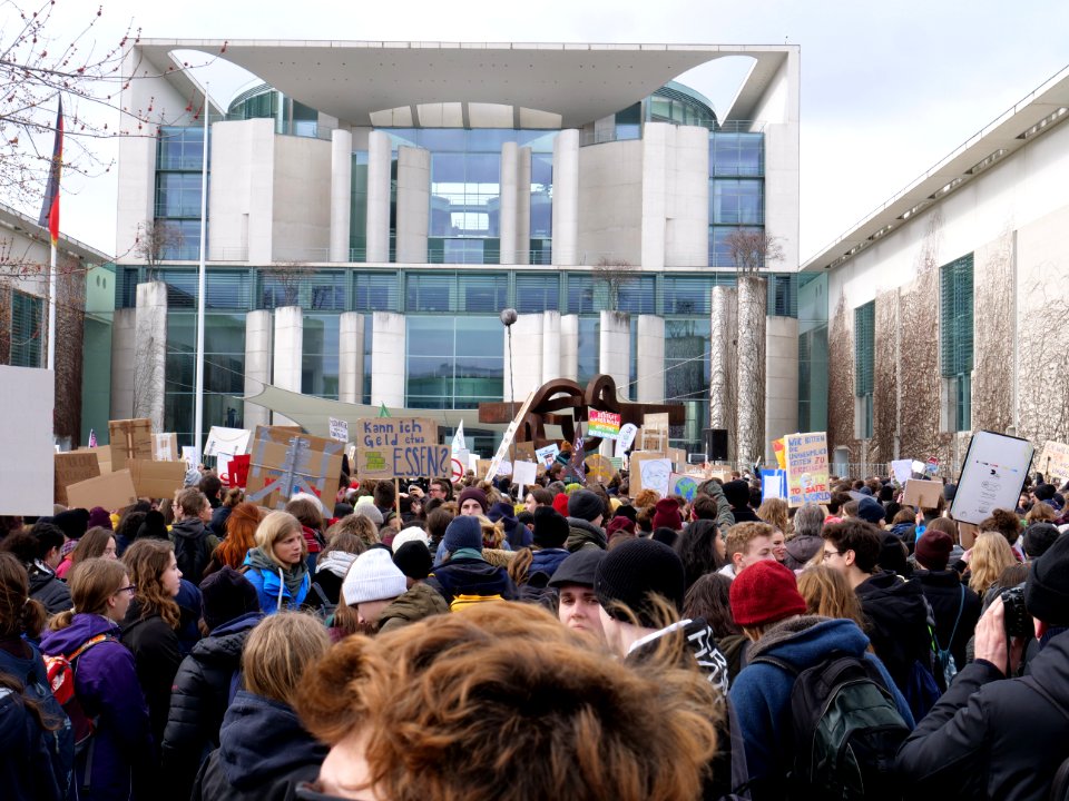 FridaysForFuture demonstration Berlin 15-03-2019 90