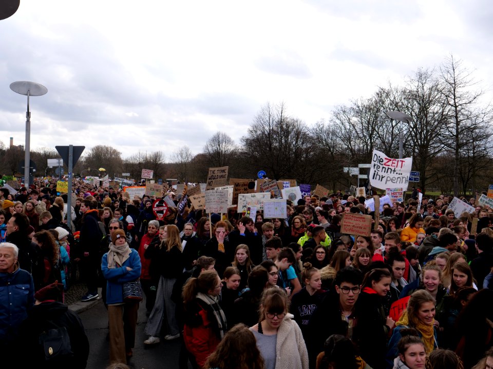 FridaysForFuture demonstration Berlin 15-03-2019 71