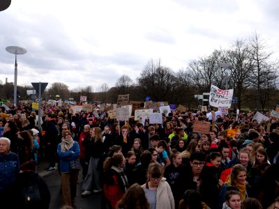 FridaysForFuture demonstration Berlin 15-03-2019 71