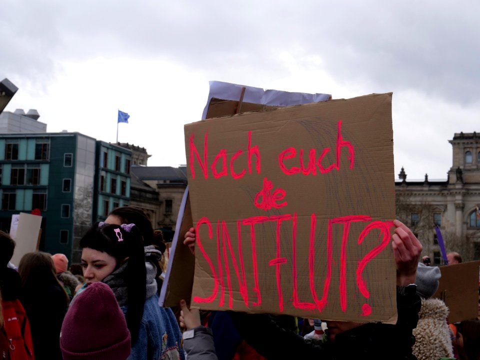 FridaysForFuture demonstration Berlin 15-03-2019 16