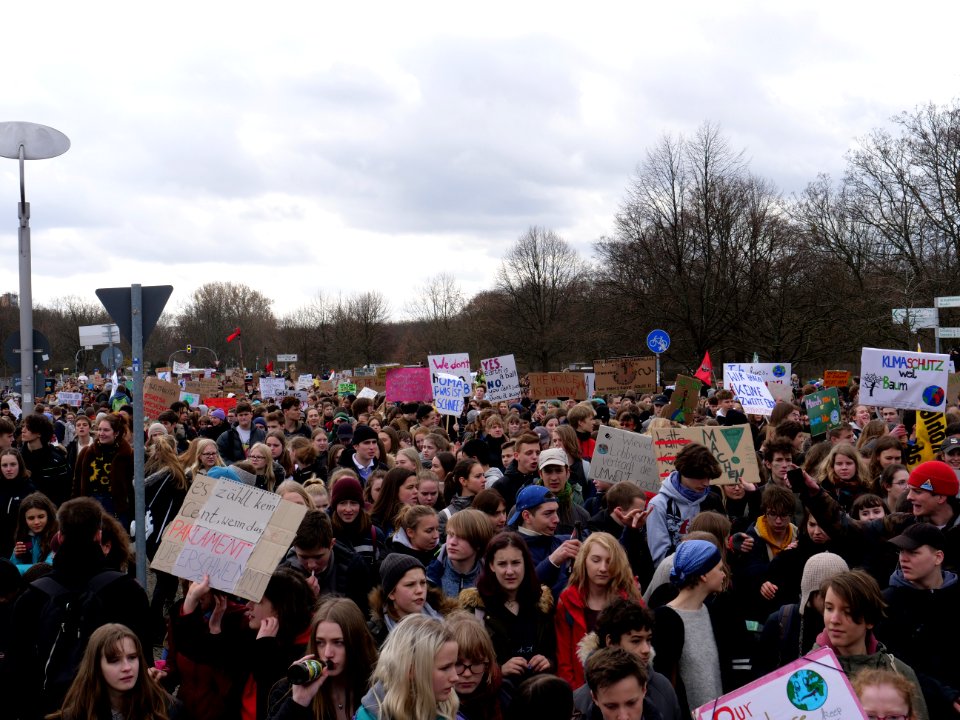 FridaysForFuture demonstration Berlin 15-03-2019 64