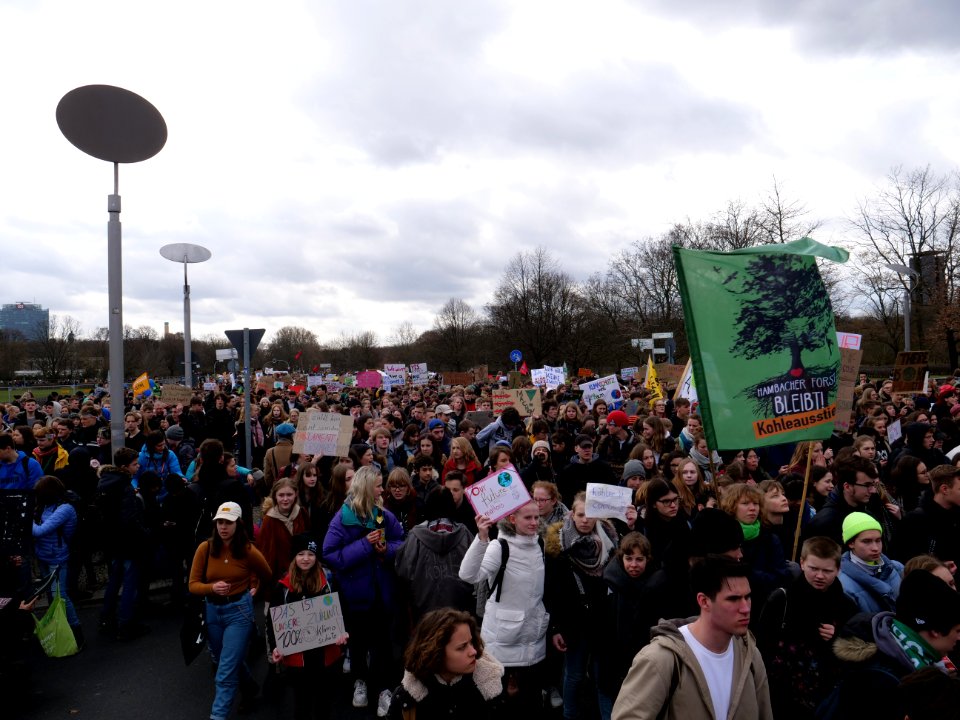 FridaysForFuture demonstration Berlin 15-03-2019 63