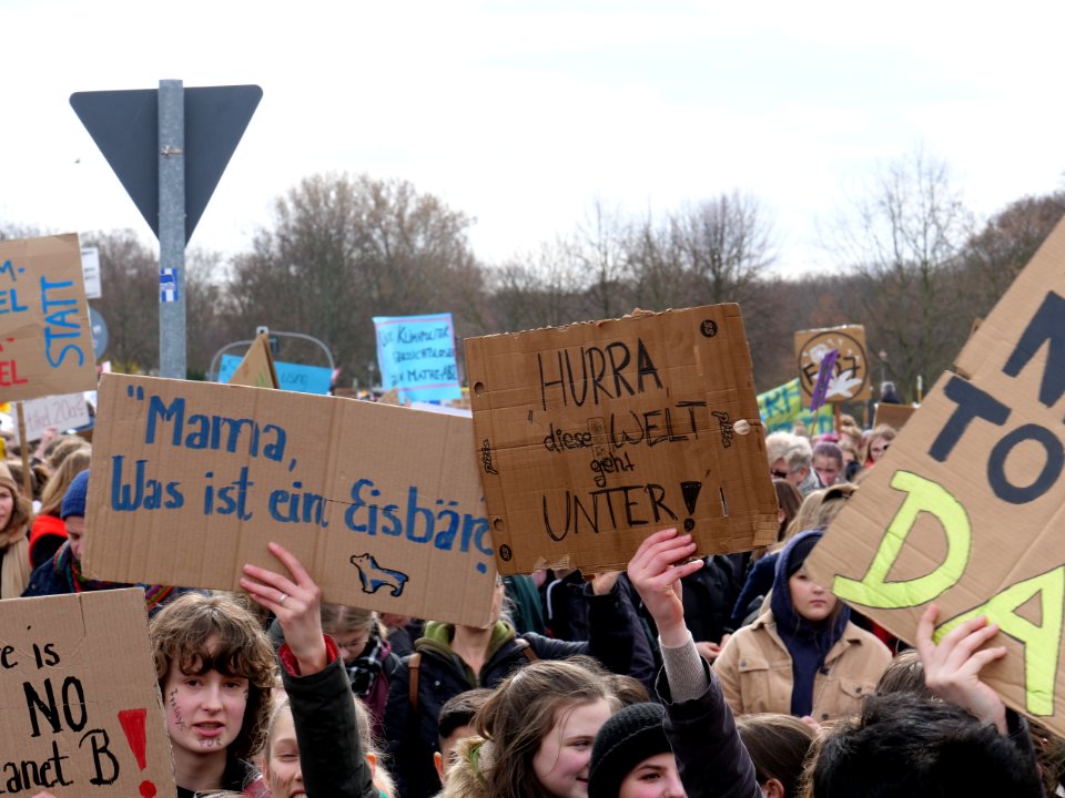 FridaysForFuture demonstration Berlin 15-03-2019 75
