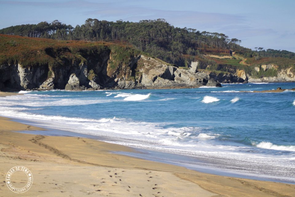 Frexulfe S Beach (176955247)