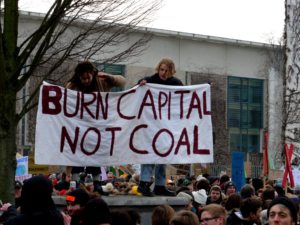 FridaysForFuture Demonstration 25-01-2019 Berlin at the Kanzleramt 13