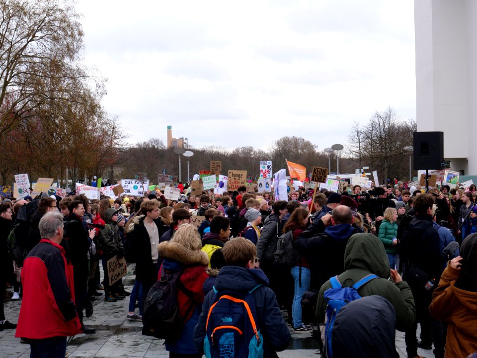 FridaysForFuture demonstration Berlin 15-03-2019 57