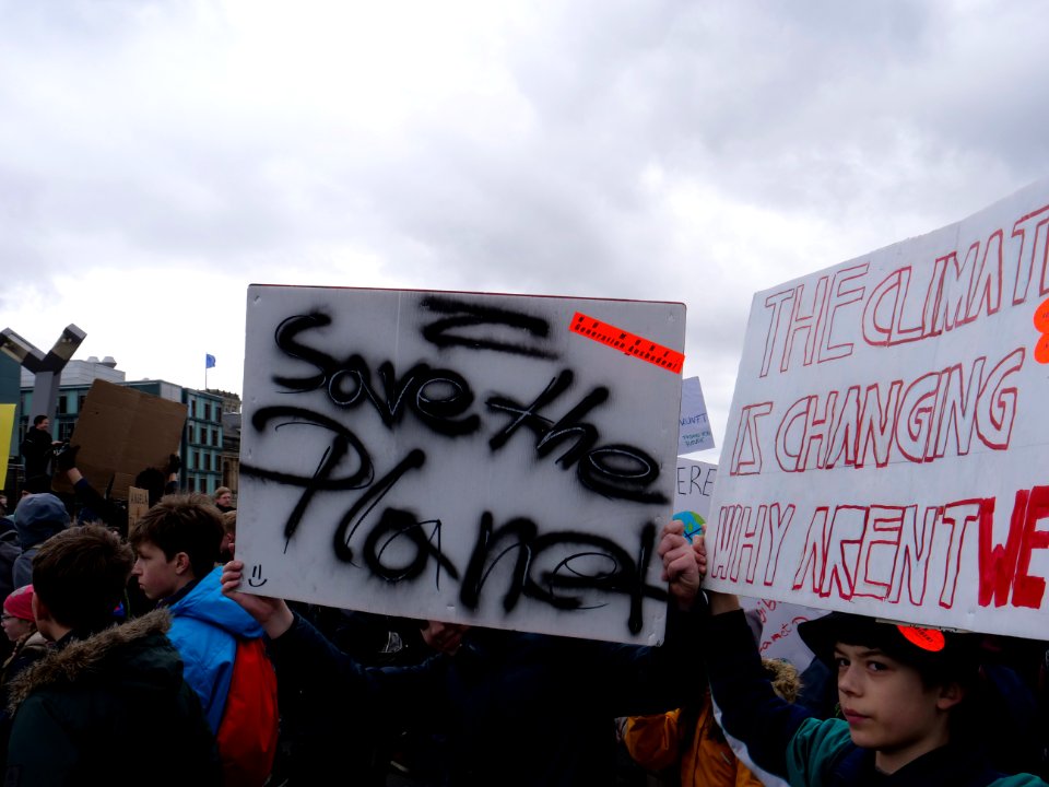 FridaysForFuture demonstration Berlin 15-03-2019 21