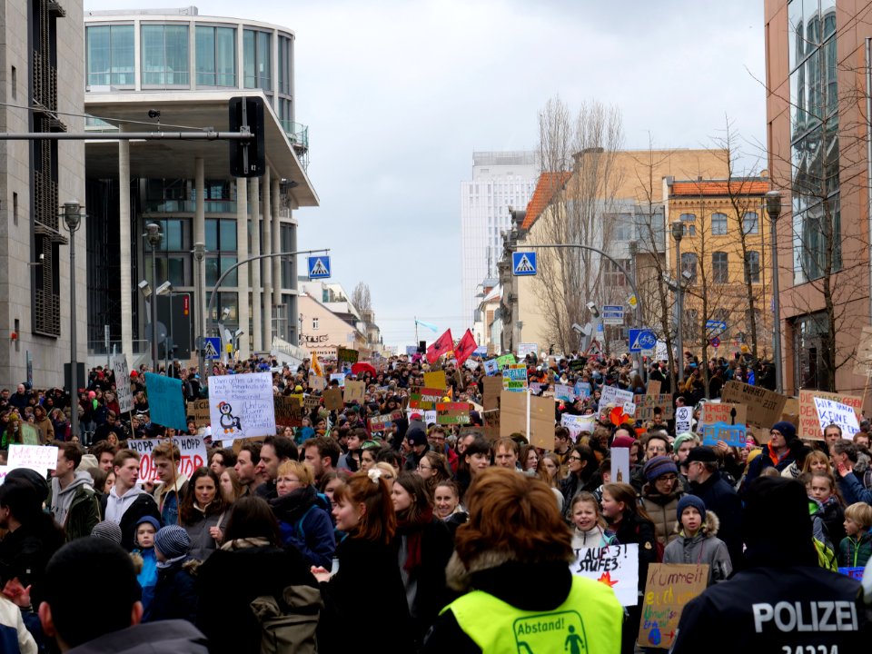 FridaysForFuture demonstration Berlin 15-03-2019 32