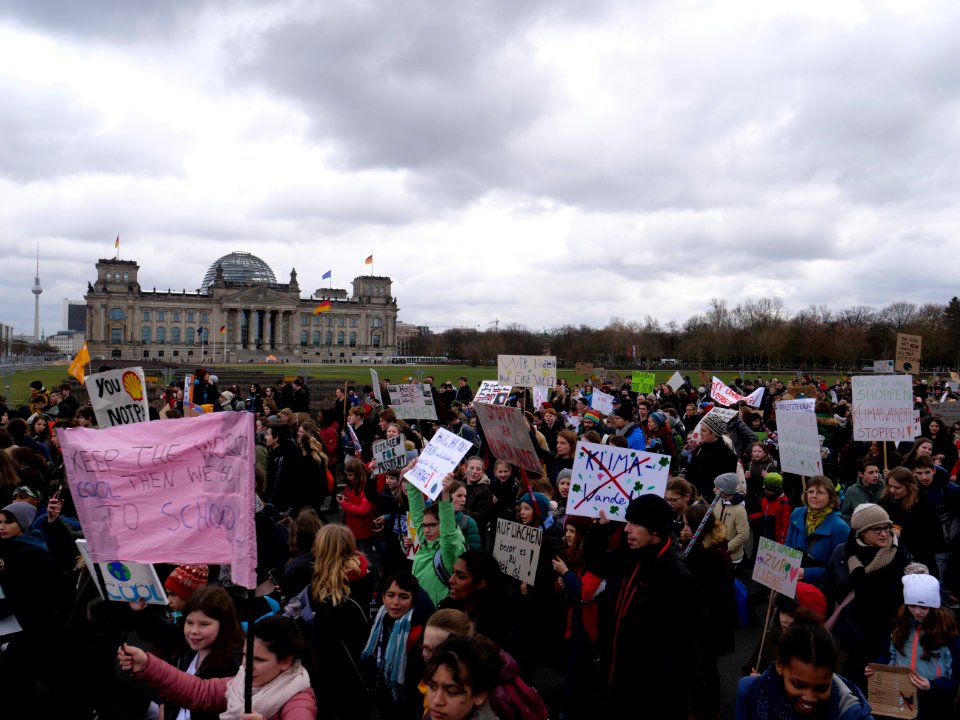 FridaysForFuture demonstration Berlin 15-03-2019 53